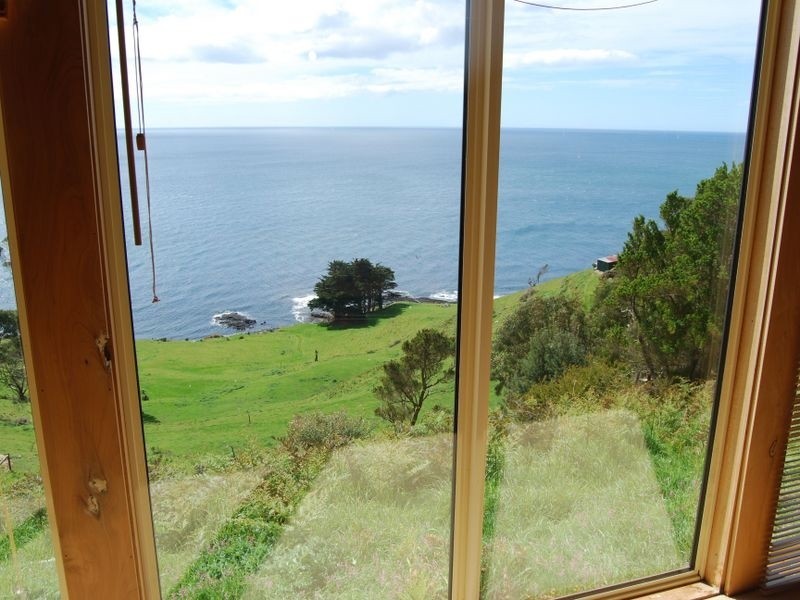 272 Tollymore Road, Table Cape TAS 7325