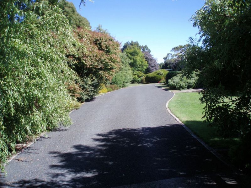 323 Preolenna Road, Flowerdale TAS 7325