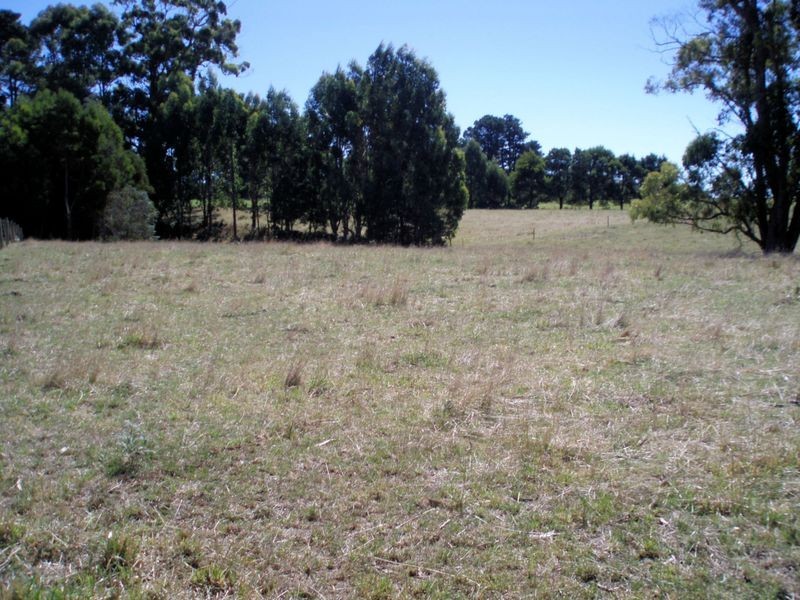 323 Preolenna Road, Flowerdale TAS 7325