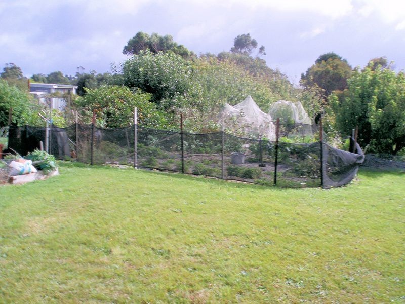 22 Boyndey Road, Black River TAS 7321