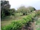 22 Boyndey Road, Black River TAS 7321