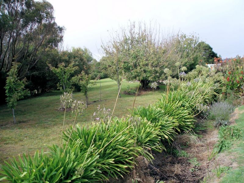 22 Boyndey Road, Black River TAS 7321