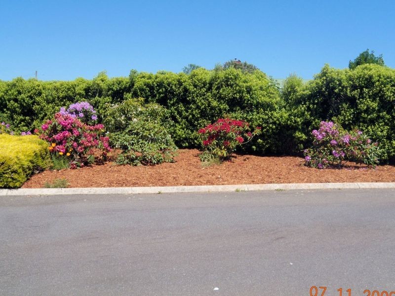 103 Oldina Road, Wynyard TAS 7325