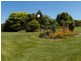 103 Oldina Road, Wynyard TAS 7325