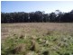 Lot 3 Oldina Road, Wynyard TAS 7325