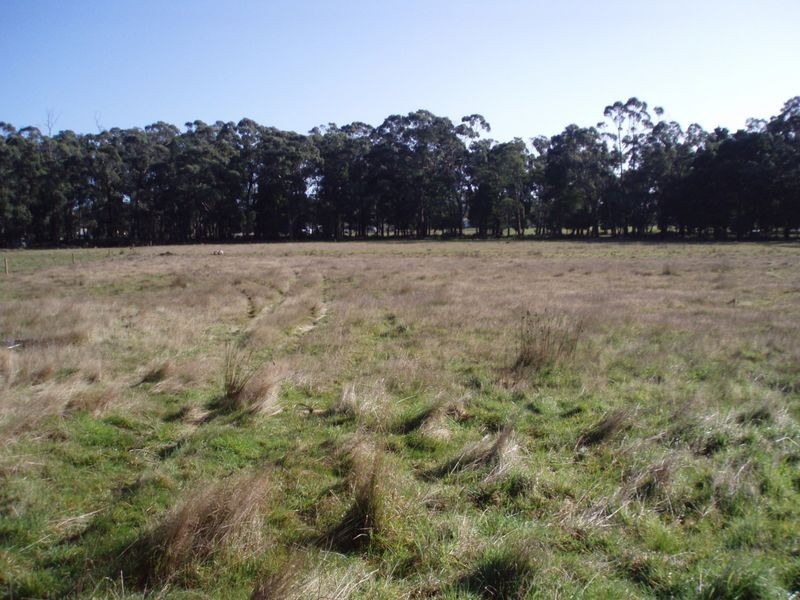 Lot 3 Oldina Road, Wynyard TAS 7325