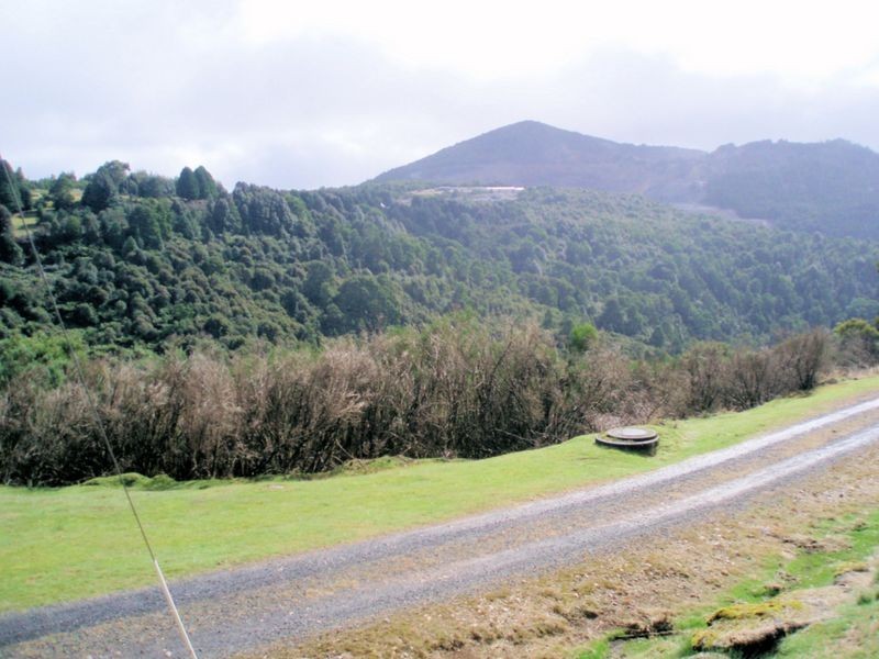 20 Little Quiggins Street, Waratah TAS 7321