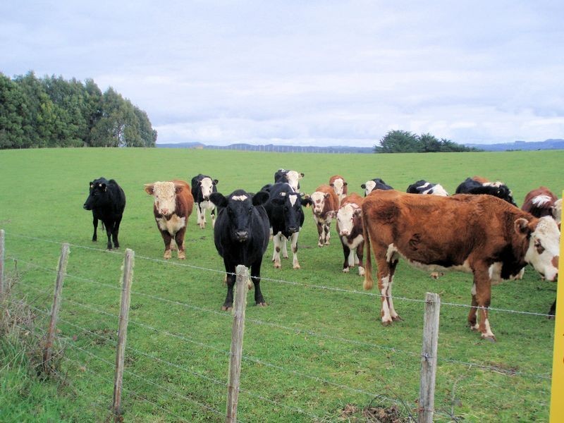 0 Calder Road, Calder TAS 7325