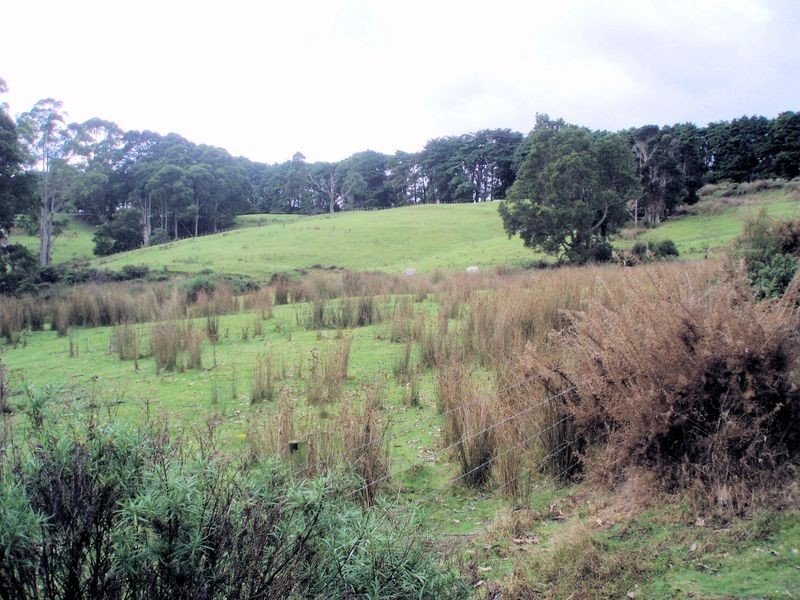 0 Calder Road, Calder TAS 7325