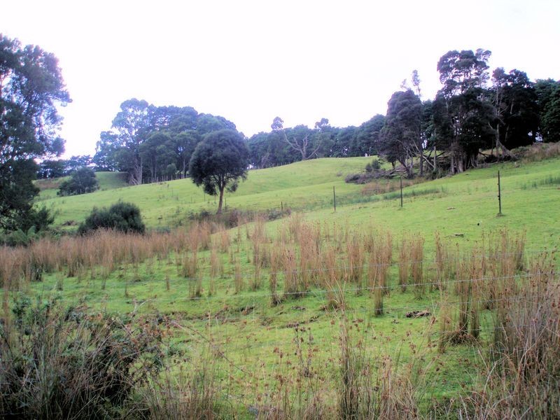 0 Calder Road, Calder TAS 7325