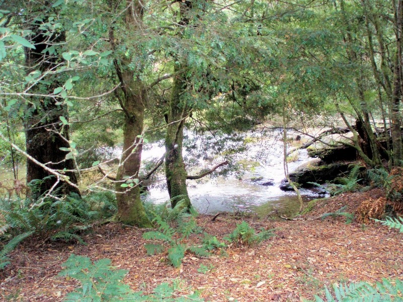 Lot 229192 Bassetts Road, Calder TAS 7325