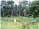 Lot 229192 Bassetts Road, Calder TAS 7325