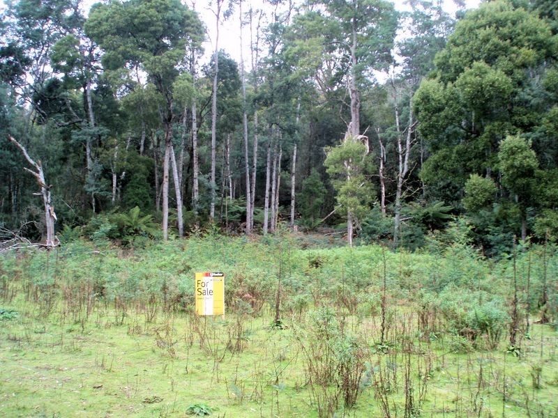 Lot 229192 Bassetts Road, Calder TAS 7325