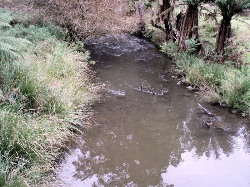 Lot 229192 Bassetts Road, Calder TAS 7325
