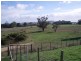 Lenah Drive, Wynyard TAS 7325