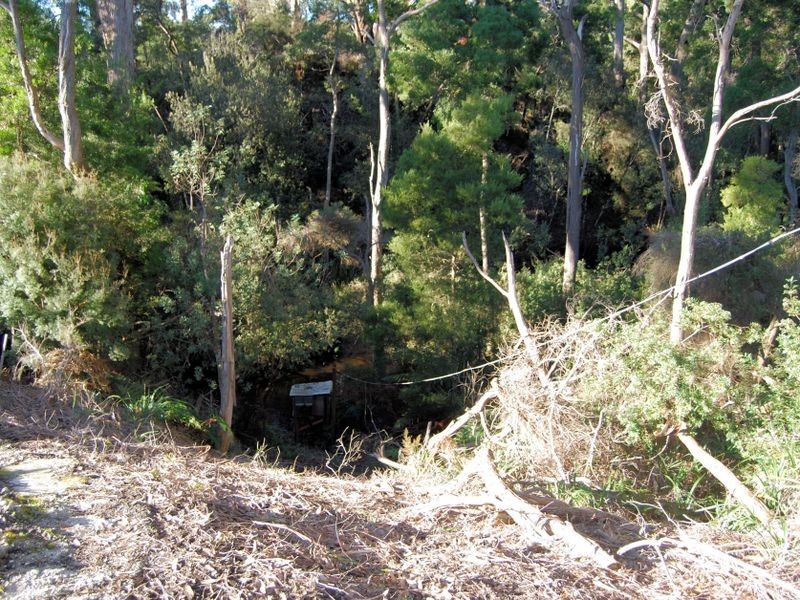 35 Banksia Avenue, Sisters Beach TAS 7321