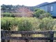 21 and 23 Little Quiggin Street, Waratah TAS 7321