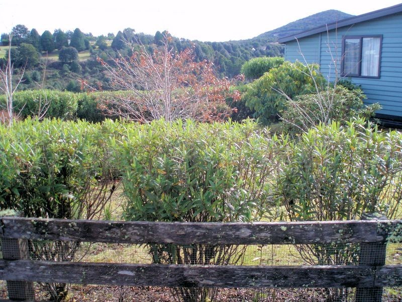 21 and 23 Little Quiggin Street, Waratah TAS 7321