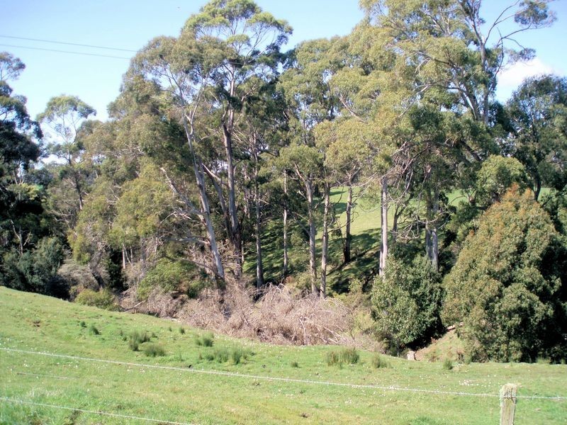 231 Calder Road, Wynyard TAS 7325