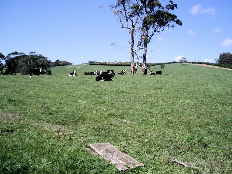 231 Calder Road, Wynyard TAS 7325