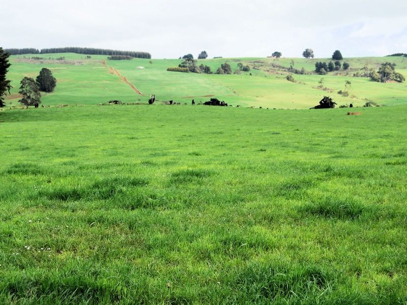 40 Mount Myrtle Road, Elliott TAS 7325