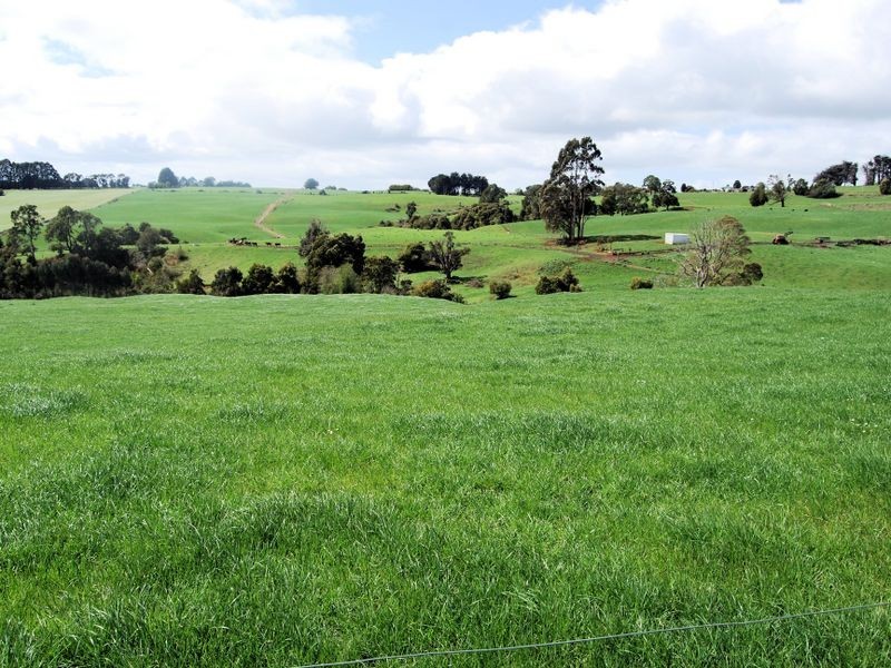 40 Mount Myrtle Road, Elliott TAS 7325