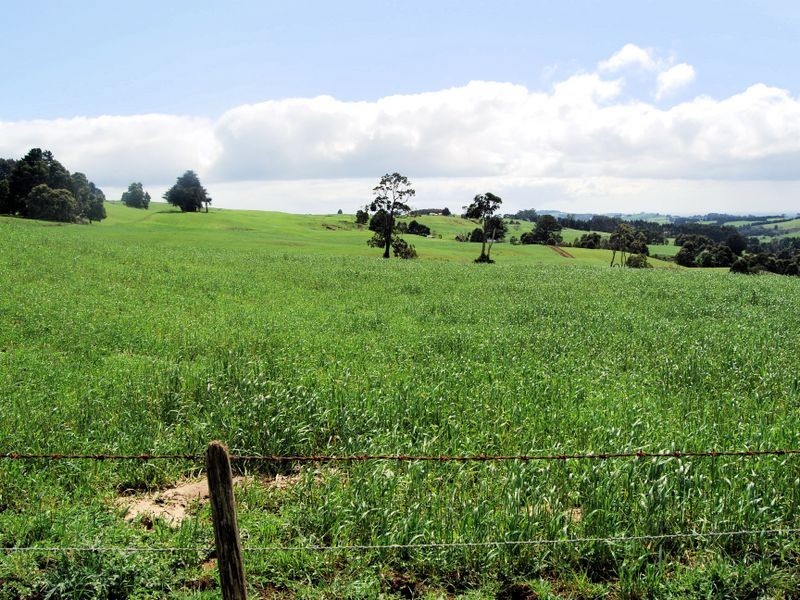 40 Mount Myrtle Road, Elliott TAS 7325