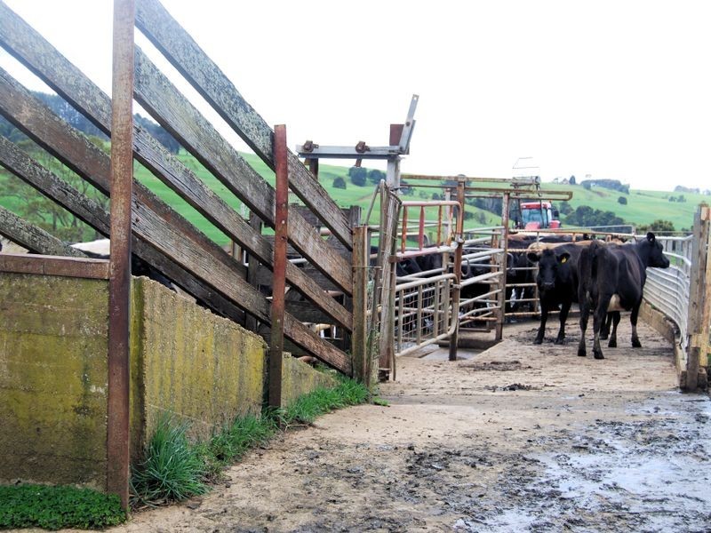 40 Mount Myrtle Road, Elliott TAS 7325