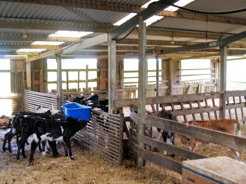 40 Mount Myrtle Road, Elliott TAS 7325