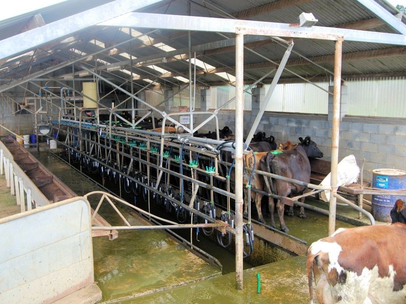 40 Mount Myrtle Road, Elliott TAS 7325