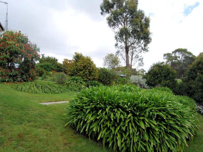 125 Inglis Street, Wynyard TAS 7325