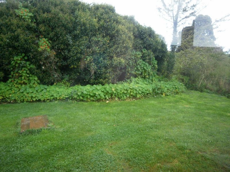 16931 A Bass Highway, Flowerdale TAS 7325