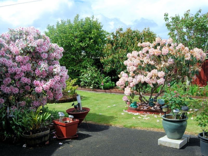 11 Park Street, Wynyard TAS 7325