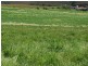 97 Rulla Road, Sisters Creek TAS 7325