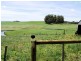 97 Rulla Road, Sisters Creek TAS 7325