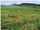 97 Rulla Road, Sisters Creek TAS 7325