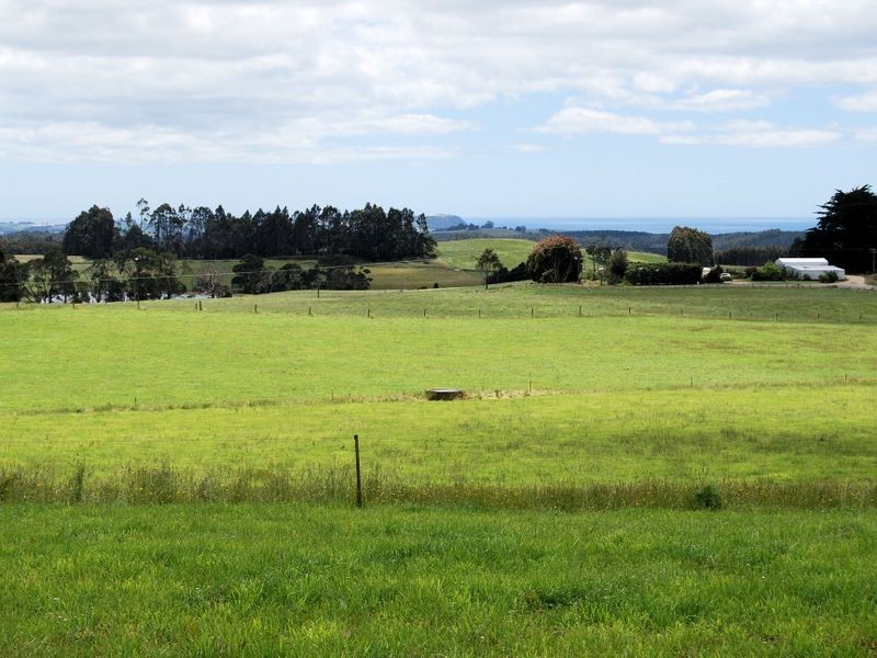 1353 Oldina Road, Oldina TAS 7325