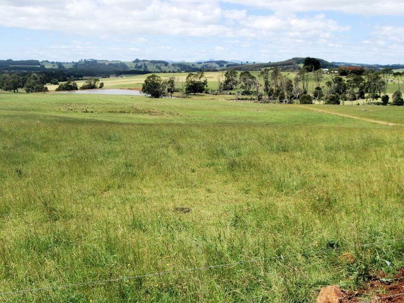 1353 Oldina Road, Oldina TAS 7325