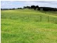 1353 Oldina Road, Oldina TAS 7325
