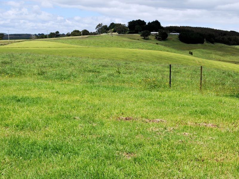 1353 Oldina Road, Oldina TAS 7325