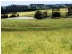 1353 Oldina Road, Oldina TAS 7325