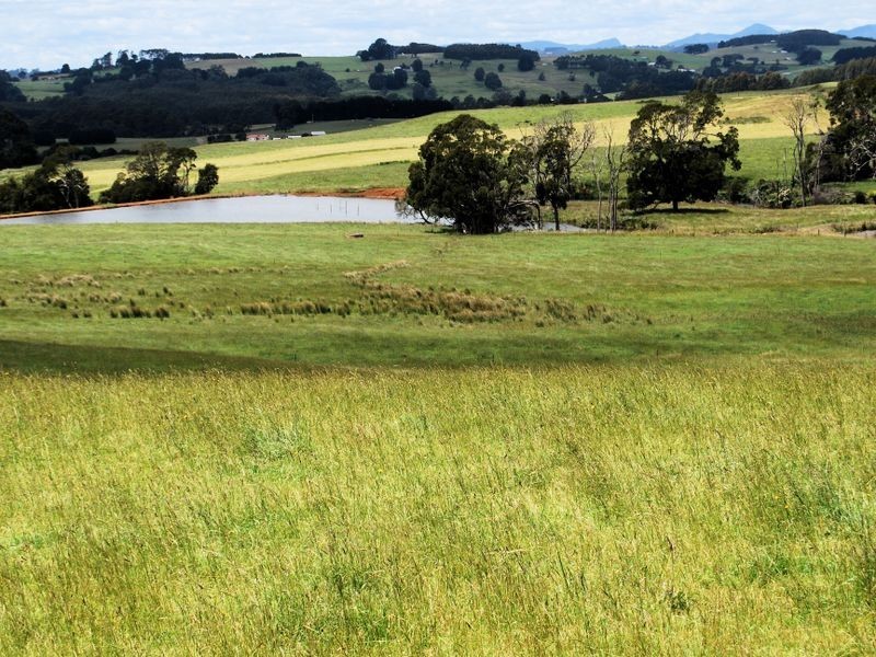 1353 Oldina Road, Oldina TAS 7325