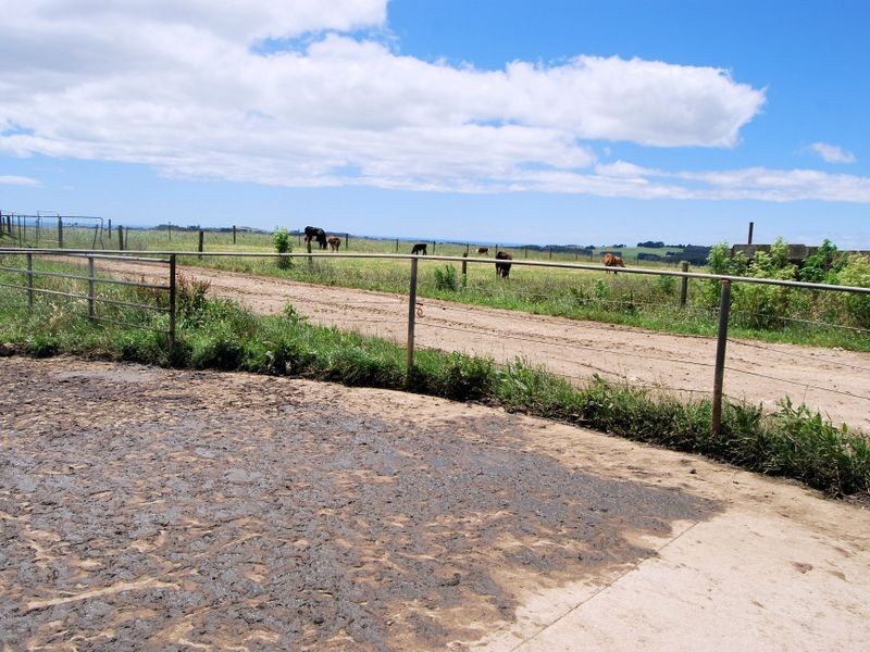 1353 Oldina Road, Oldina TAS 7325