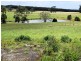 1353 Oldina Road, Oldina TAS 7325