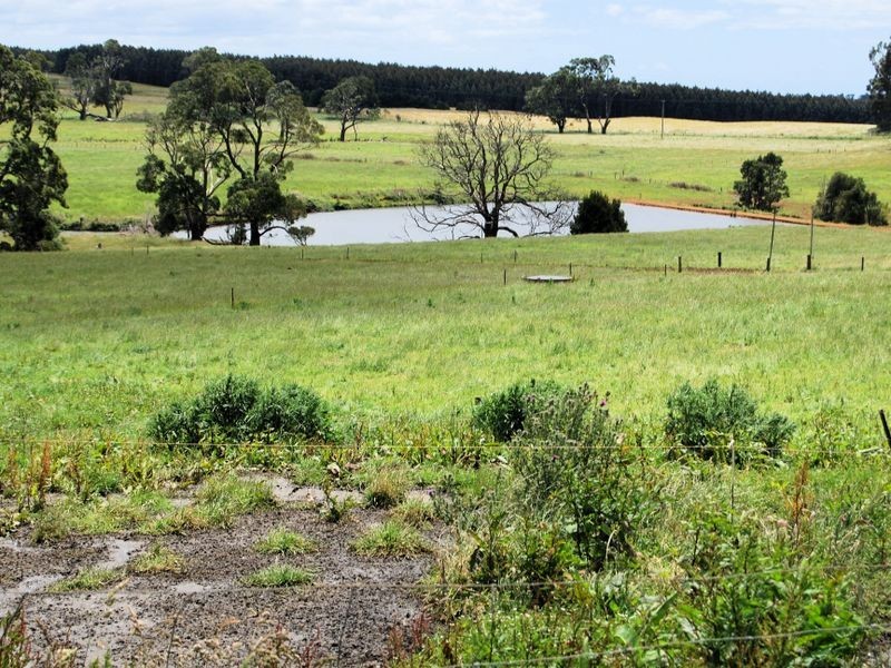 1353 Oldina Road, Oldina TAS 7325
