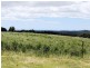 1353 Oldina Road, Oldina TAS 7325