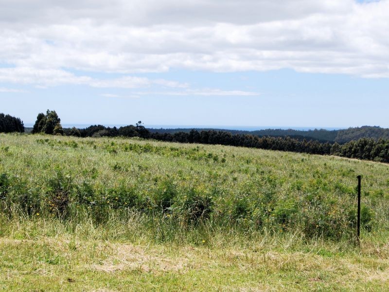 1353 Oldina Road, Oldina TAS 7325