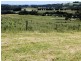 1353 Oldina Road, Oldina TAS 7325