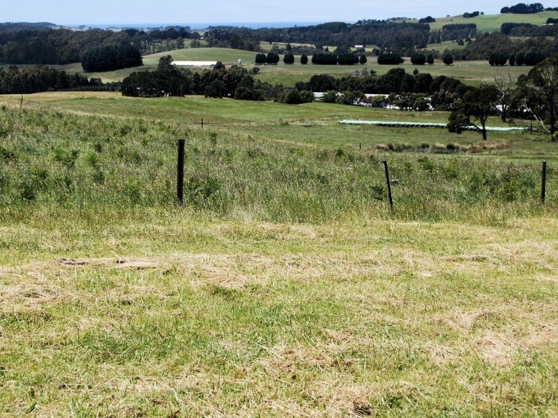 1353 Oldina Road, Oldina TAS 7325