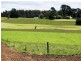 1353 Oldina Road, Oldina TAS 7325